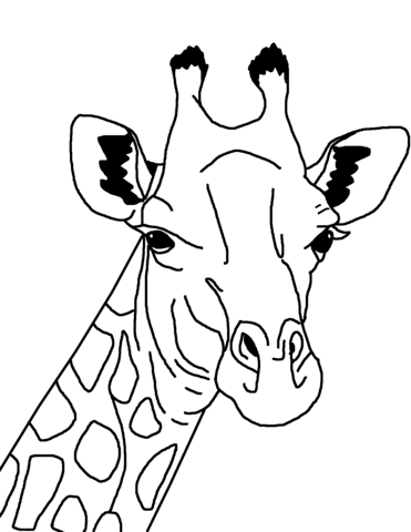 Giraffe Face Coloring Page